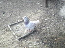 P15-01-12_13.58[4]