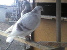 P15-01-12_13.58[5]