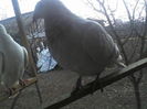 P15-01-12_14.04[3]