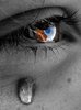 a doua zi....:[[
