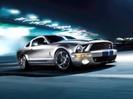 Ford(Mustang GT)
