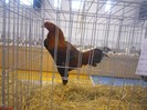 expo cta 018