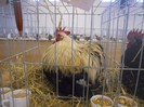 expo cta 022