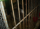 P1100098