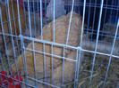 P1100123