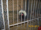 Picture 042