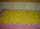 PASTE BIO