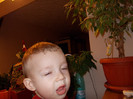 DSCN0097
