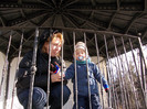 DSCN0131