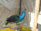 DSCF5163