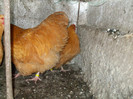 DSCF5158