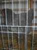 DSCN0151