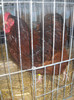 DSCN0156
