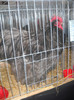 DSCN0158