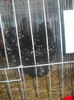 DSCN0167