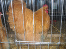 DSCN0169