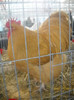 DSCN0177