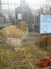 DSCN0188