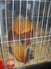 DSCN0197