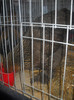 DSCN0198