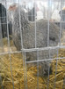 DSCN0199