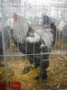 DSCN0202