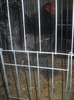 DSCN0204