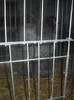 DSCN0205