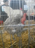 DSCN0219