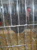 DSCN0221