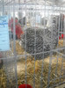 DSCN0223