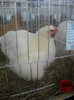 DSCN0226