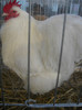 DSCN0227