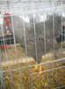 DSCN0238