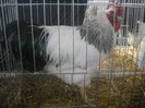 DSCN0245
