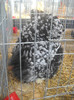 DSCN0254