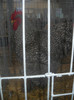 DSCN0259