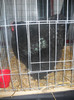 DSCN0262