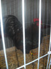 DSCN0278