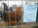 DSCN0282