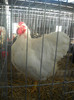 DSCN0291