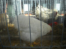 DSCN0293