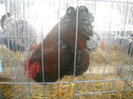 DSCN0303