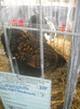 DSCN0304