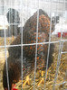 DSCN0307