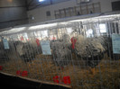 DSCN0314