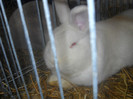 DSCN0319