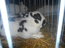 DSCN0320