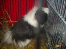 DSCN0325