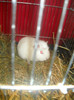 DSCN0326